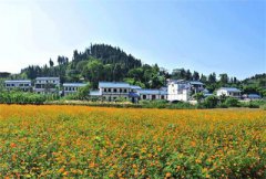 吉林：建设美丽乡村 打造国家现代化农业示范区