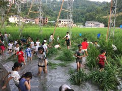 重庆：武隆区妇联联合团区委组织城区少年儿童开展乡村游活动