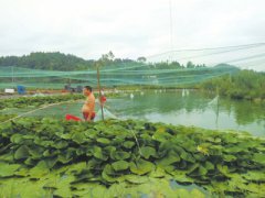 四川资阳：一乡镇饮用水源不达标 当天拆除河道排污口