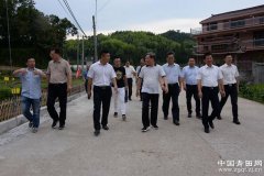浙江：青田县副省长孙景淼来青调研美丽农村建设、农旅融合等工作