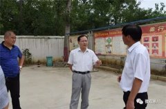 <b>河南：淅川县委常委、宣传部长梁玉振到乡镇调研</b>