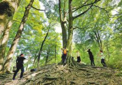 四川：巴中 摆席变演出 乡村吹进好风气