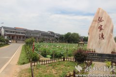 湖北：[美丽乡村荆楚行]梁子湖畔，村湾在你追我赶中美起来
