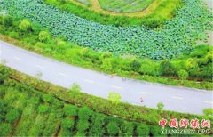 <b>四川：广安华蓥市 保洁员让乡村更美丽</b>