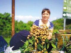 <b>重庆：四季水果富农家 土地经营权入股唱响致富经</b>