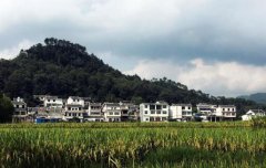 贵州省：兴仁县“鲤鱼”跃“农门” 激活“人文田山水”