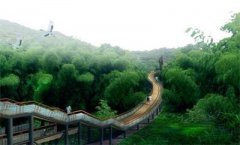 <b>浙江：“千万工程”引领美丽乡村建设 决胜农村全面小康</b>