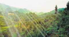<b>重庆：关注深度贫困乡镇 车田脱贫开新路</b>