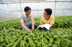<b>“农民”不再是身份而是职业 新型职业农民将成主要力量</b>