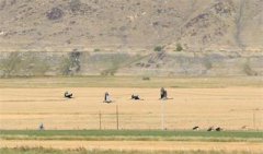 <b>一些中老年人不愿土地流转 农业部回应如何应对</b>