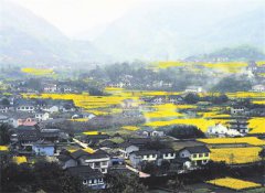 <b>四川：乐山乡村绿色低碳发展：保护好、利用好这片“绿”</b>