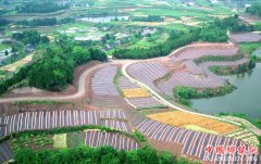 <b>四川：绿色农业发展又有大思路</b>