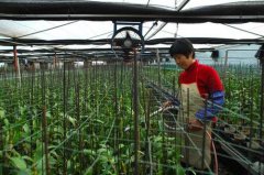 <b>现代农业的强力引擎！党的十八大以来农业科技创新发展综述</b>