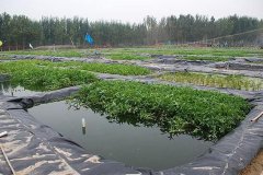 <b>四川：梓潼县投10亿打造生态循环项目</b>