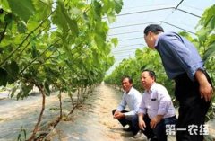 <b>2020年全国新型职业农民培育示范基地将达千个</b>