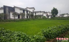 <b>把资源优势化为产业优势 全国粮食产业向绿色优质转型</b>