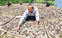 <b>四川：广安 小小枳壳从“鸡肋”变成“金果果”</b>