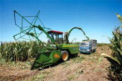 <b>安徽：蒙城县秸秆变身农家“致富宝” 带动农民增收</b>