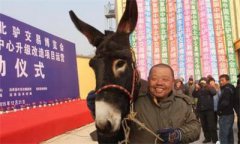 <b>辽宁:驴产业带动法库县经济发展 让群众致富增收</b>