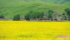 <b>四川：甘孜州复制“农科村”高原上崛起藏家乐</b>