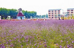 <b>四川：首次发布百强名村及集体经济十强村榜单</b>