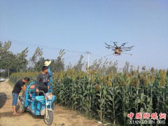 <b>农村小伙用无人机帮人喷农药 日入上千</b>