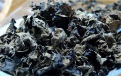 黑龙江：牡丹江 农民“闯”出致富路 不守田园闯市场