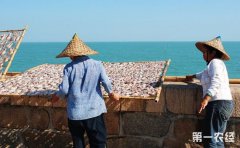 <b>福建：加快渔业供给侧结构性改革 推进现代渔业转型升级</b>