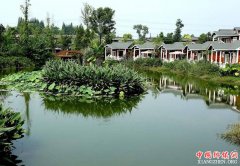 <b>从“空有壳”到“仓廪实” 发展集体经济穷村能跟富村学到啥？</b>