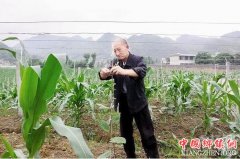 <b>四川：宜宾“四好”新村美如画 城里人羡煞村里人</b>