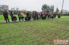 <b>四川：江油市创新职业农民培训模式 “名师带徒”加速农民成才致富</b>