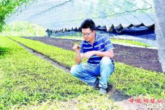 <b>四川：汶川县进山包地 大学生当起农场主</b>