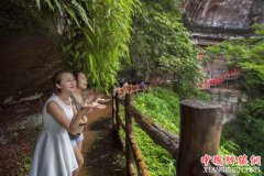 <b>重庆：国庆长假江津乡村旅游火爆 住民宿摘果果乐趣多</b>