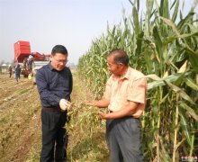 <b>山东：郯城 玉米秸秆拒绝“狼烟四起”   粉碎还田享受“营养套餐”</b>