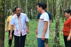 <b>海南省：“劳模”羊风极 带领山区黎族群众脱贫致富</b>