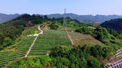 重庆：南山推动农村产业融合发展 打造我区农业“五朵金花”