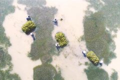 <b>江苏省：溧阳市水下养虾 水面种草 农民每亩增收2000多元</b>