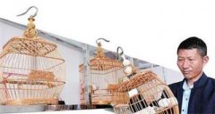 <b>云南：“鸟笼村”出非遗大师 制作雕花鸟笼卖到15万元</b>
