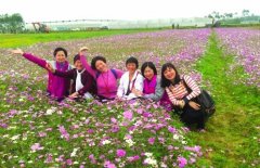 <b>广东：惠州市杨村镇农村变景区 农民变工人 “最穷村”变成“最富村”</b>