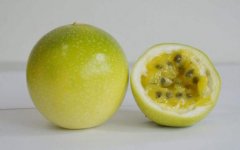 <b>从巴西引进的黄金百香果灿若“黄金” 果实耐贮存</b>