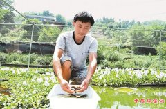 <b>四川：泸州滑溜溜 小泥鳅“钻”出致富路</b>
