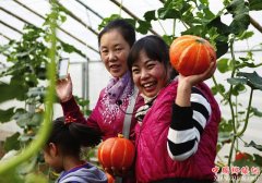 <b>陕西：宝鸡市陈仓区倾力打造现代农业园区</b>