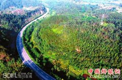 <b>前10个月 四川完成营造林面积接近一个资阳市大小</b>