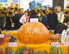 <b>高科技让“农”字亮起来（经济聚焦）</b>