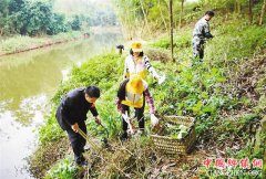 <b>党员和群众义务清扫 美化乡村环境</b>