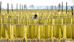 <b>山东：“晾晒经济”助农民冬季增收</b>