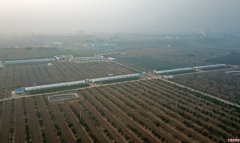 <b>变“废”为“肥” 中国循环农业助力脱贫</b>