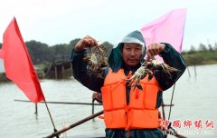 <b>安徽庐江：黄陂湖大闸蟹生态又富农</b>