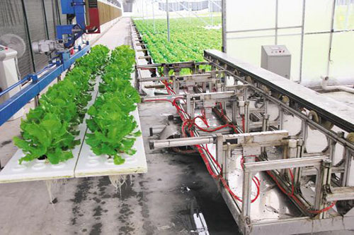 未来农业是怎样的? 双创激发农业农村发展新动能