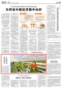 <b>人民日报：江苏金湖推广实施农业新技术</b>